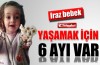 Yaşaması için 6 ayı var