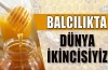 Türkiye balcılıkta dünya ikincisi