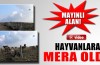 Mayınlı alan bakın ne işe yarıyor?