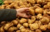 Bakanlık patates fiyatlarına el koydu