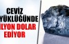 Dünyanın en değerli elması bulundu