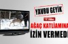 Yavru geyik ağaç katliamına izin vermedi