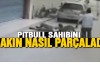 Pitbul sahibini böyle parçaladı