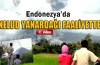 Endonezya’da Kelud Yanardağı faaliyete geçti