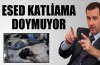 Esad katliama doymuyor