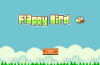 'Flappy' adına yasak geldi