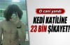 Kedi katiline 23 bin yasal işlem talebi