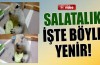 Salatalık işte böyle yenir