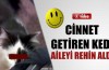 Bu kedi ailesini rehin aldı