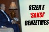 Ahmet Necdet Sezer'e 'saksı' benzetmesi