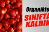 Organikte sınıfta kaldık