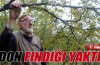 Don fındığı yaktı