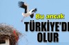 Bu ancak Türkiye'de olur
