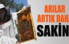 Arı sokması tarih mi oluyor?