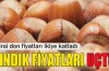 Fındık fiyatları ikiye katlandı!