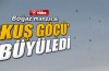 Boğaz manzaralı ‘kuş göçü’ büyüledi