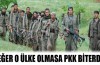 Eğer o ülke olmasaydı PKK biterdi