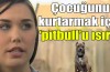 Çocuğunu kurtarmak için pitbullu ısırdı