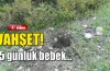 Vahşet! 15 günlük bebek...