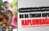 Kaplumbağa demeye şahit lazım!