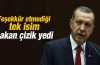 Faruk Çelik, Başbakan'dan çizik mi yedi?