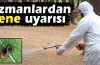 Uzmanlardan kene uyarısı