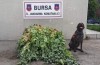 Bursa'da büyük uyuşturucu operasyonu