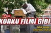 Bursa'da arılar firarda
