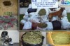 Bursa’da 6 ayda 1.5 ton esrar, 13 bin 674 gram bonzai ele geçirildi