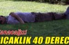 Hava sıcaklıkları 40 dereceyi görecek!