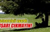 Meteoroloji uyarı...Sakın sokağa çıkmayın