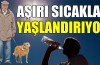 Aşırı sıcak yaşlandırıyor