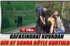 Yavru ayı ortalığı birbirine kattı