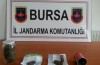 Bursa'da jandarmadan esrar operasyonu