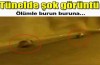 Tünelde şok görüntüler