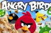 Angry Birds çalışanlarını kızdıracak