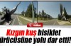 Kızgın kuş sürücüye yolu dar etti