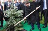 Başbakan Davutoğlu ağaç dikti 