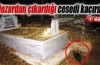 Yok böyle bir olay...Mezardan çıkardığı cesedi kaçırdı