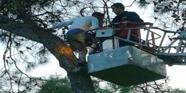 Futbolcu kaçan topu almak isterken ağaçta kaldı...