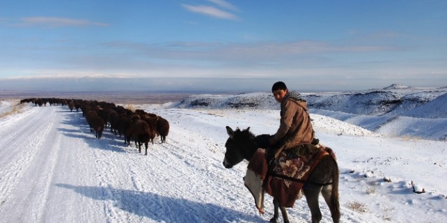 Yaylacıların zorlu yolculuğu