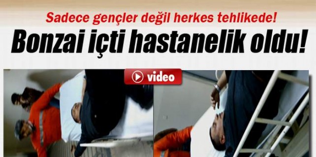 Bursa'dan ibretlik bonzai görüntüsü