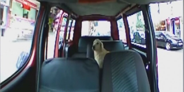 Böyle yolcu görülmedi!