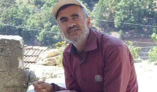 Bursa'dan kaybolmuştu...10 gün sonra ormanda tek başına