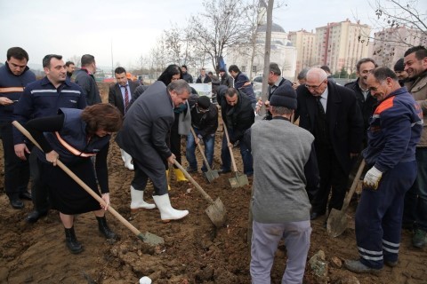 Fidanlar toprakla buluştu