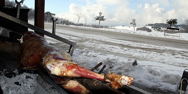 Kar altında kuzu çeviriyor