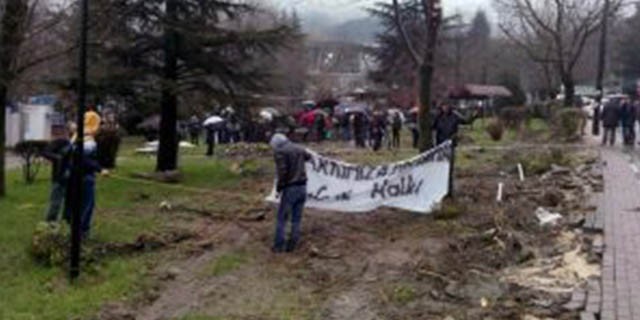 Teleferik halkından ağaç katliamına tepki