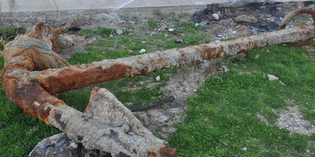 Balıkçı ağına öyle bir şey takıldı ki!