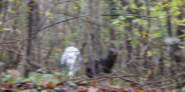 Vahşet! Başsız ve kolsuz kadın cesedi bulundu!
