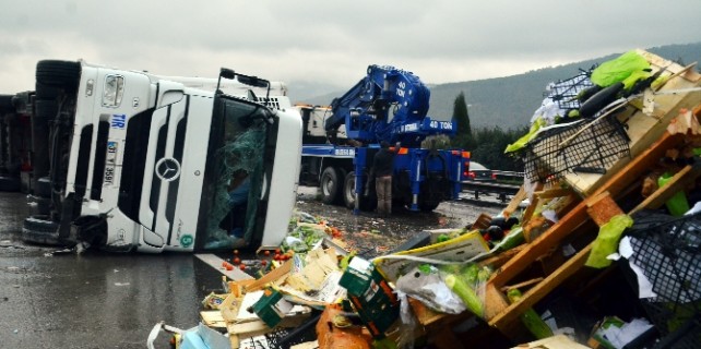 Tosta dönen araçtan sağ çıktı